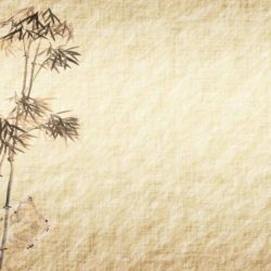 相続税の申告書へのマイナンバー（個人番号）の記載について